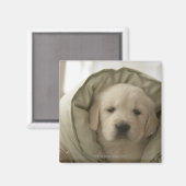 Kissen um Hund Magnet (Vorderseite/Rückseite)