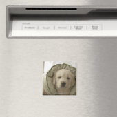 Kissen um Hund Magnet (In Situ (Geschirrspüler))