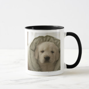 Kissen um Hund Tasse