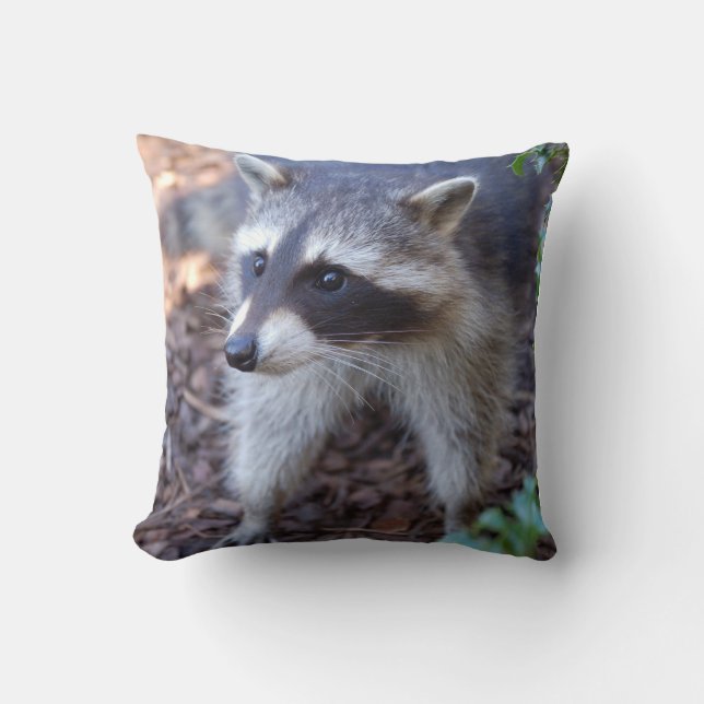 Kissen Waschbär Racoon (Vorderseite)