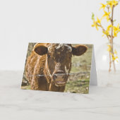 Kissende Kuh Geburtstagskarte Karte (Gelbe Blume)