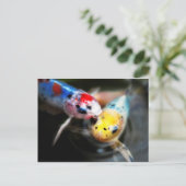 Kissenfisch Postkarte (Stehend Vorderseite)