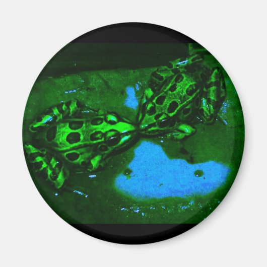 Kissenfrosch Magnet (Vorne)