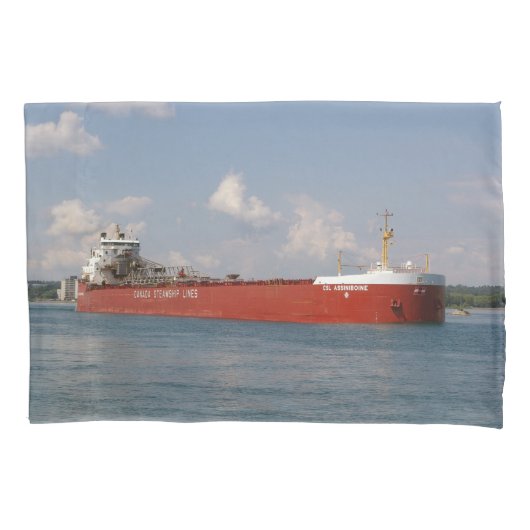 Kissenkoffer CSL Assiniboine Kissenbezug (Vorderseite)