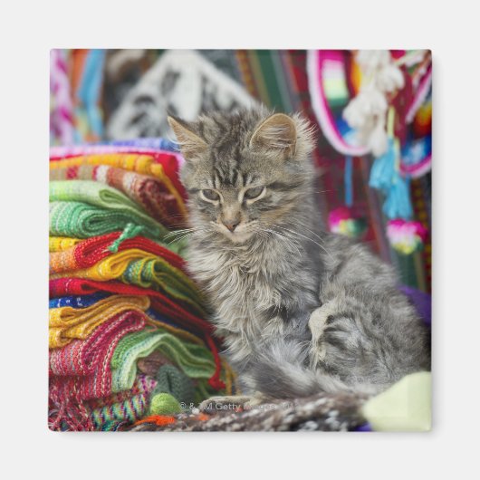 Kissenperu Magnet (Vorne)