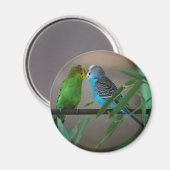 Kissensittiche Magnet (Vorderseite/Rückseite)