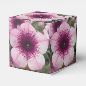 Kisses Geschenkschachtel (Rückseite)