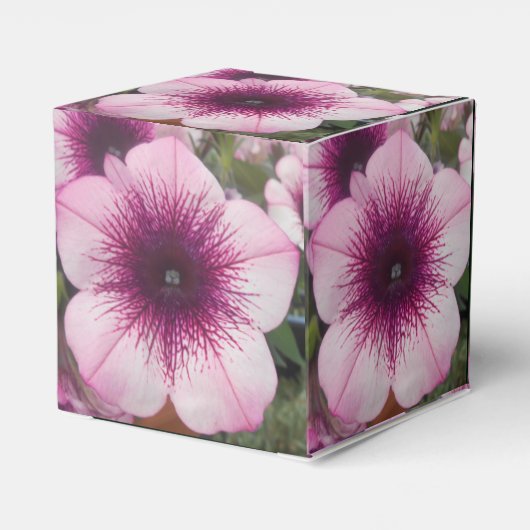 Kisses Geschenkschachtel (Rückseite)