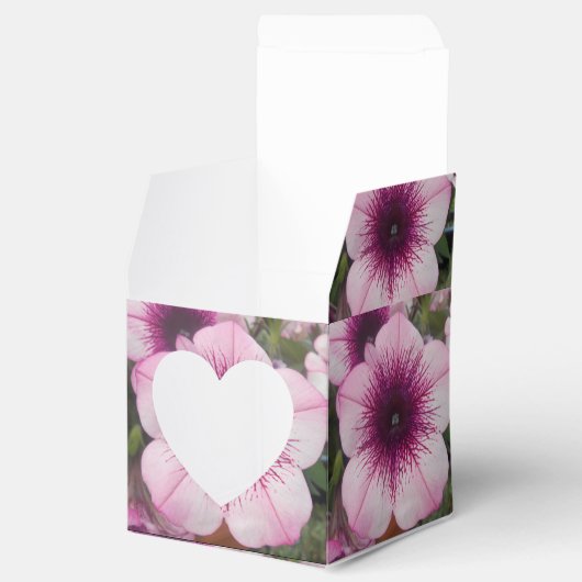 Kisses Geschenkschachtel (Geöffnet)