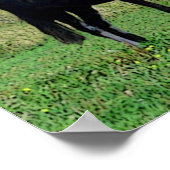 Kisses Poster (Ecke)