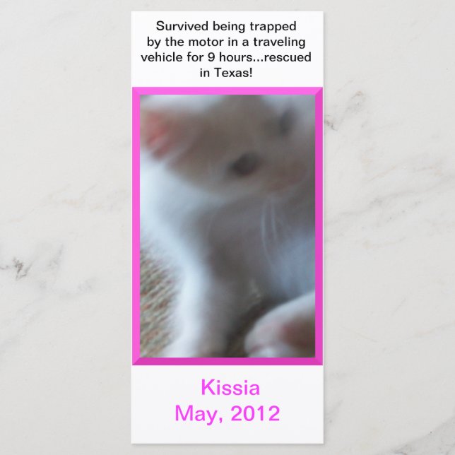 Kissia (Little Girl Kitty) Rackkarte oder Lesezeic (Vorderseite)