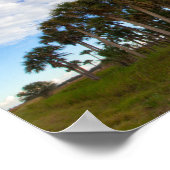 Kissimmee Prairie Hammock, Florida Poster (Ecke)