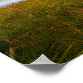 Kissimmee Prairie Preserve Staat Park, Florida Poster (Ecke)