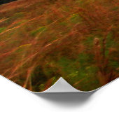 Kissimmee prairie preserve state park, Florida Poster (Ecke)