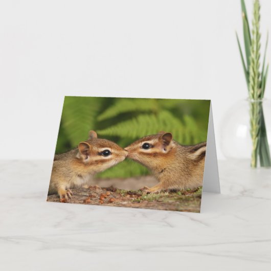 Kissing Baby Chipmunkcard Karte (Vorderseite)
