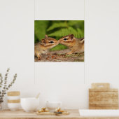 Kissing Baby Chipmunks Poster (Küche)