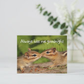 Kissing Baby Chipmunks Postkarte (Stehend Vorderseite)