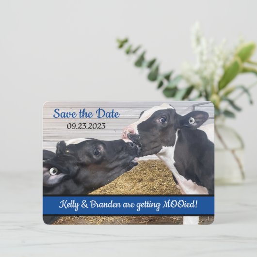 Kissing Calves FOTO Hochzeit Speichern Sie das Dat (Stehend Vorderseite)