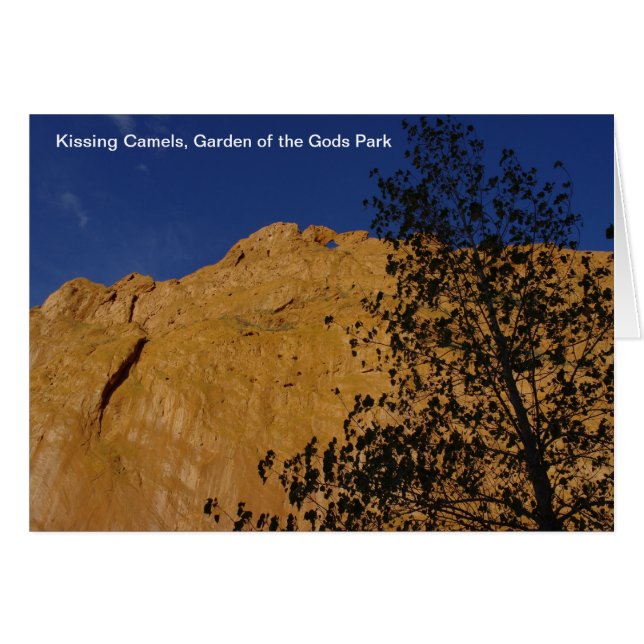Kissing Camels Card (Vorderseite (Horizontal))