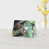 Kissing Chipmunks Karte (Gelbe Blume)