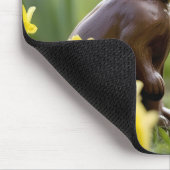 Kissing Chocolate Oaster Bunnies Mousepad (Ecke)