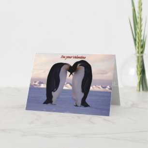 Kissing Emperor Penguin Valentine'... Feiertagskarte