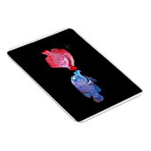 "Kissing Fish" Kunst von Mike Quinn Magnet (Rechte Seite)