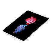 "Kissing Fish" Kunst von Mike Quinn Magnet (Linke Seite)