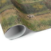 Kissing Hintern Donkey Geschenkpapier (Rolleneckpunkt)