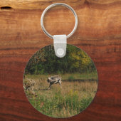 Kissing Hintern Donkey Schlüsselanhänger (Vorderseite)