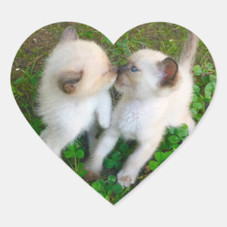 kissing kittens Herz-Aufkleber