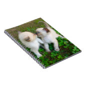 kissing kittens in clover notizblock (Rechte Seite)