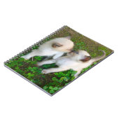 kissing kittens in clover notizblock (Linke Seite)