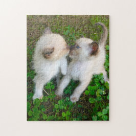kissing kittens puzzle