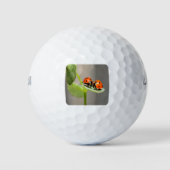 Kissing Ladybugs Golfball (Vorderseite)