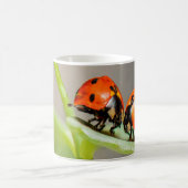 Kissing Ladybugs Kaffeetasse (Mittel)