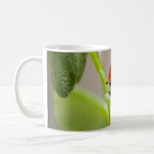 Kissing Ladybugs Kaffeetasse