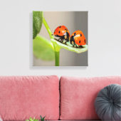 Kissing Ladybugs Leinwanddruck (Insitu (Wohnzimmer))