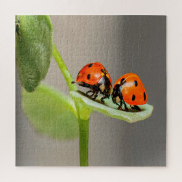 Kissing Ladybugs Puzzle