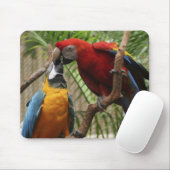 Kissing Macaws Mousepad (Mit Mouse)