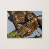 Kissing Owls Puzzle (Horizontal)