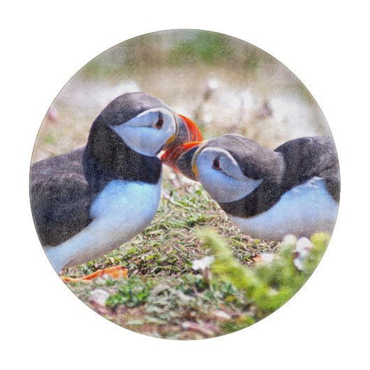 Kissing Puffins Glass Cutting Board Schneidebrett (Vorderseite)