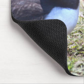 Kissing Puffins Mousemat Mousepad (Ecke)