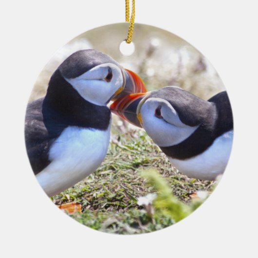 Kissing Puffins Ornament (Vorne)