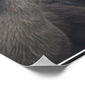 Kissing River Otters Poster (Ecke)