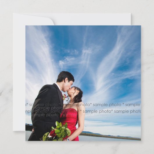 Kissing Swallows & Spring Flowers Foto Wedding Ankündigung (Rückseite)