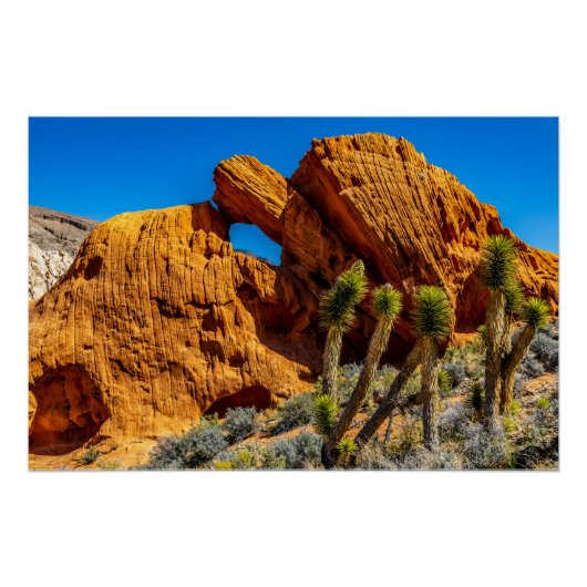 Kissing Turtle Rock Glossy Poster (Vorderseite)