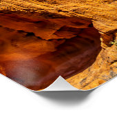 Kissing Turtle Rock Glossy Poster (Ecke)
