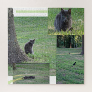 Kiste Puzzle: Cat in Action Puzzle