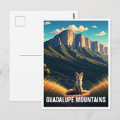 Kit Fox im Guadalupe Mountain Nationalpark Postkarte (Vorne/Hinten)